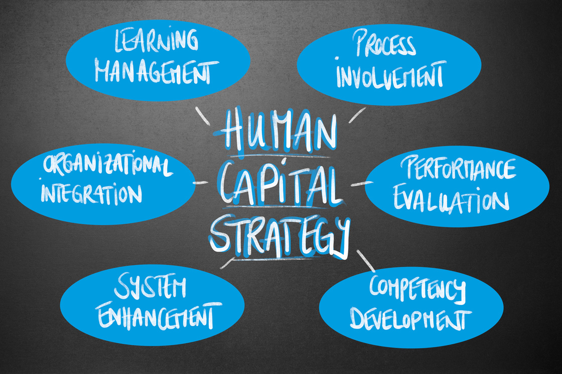 Management - Human Capital Strategy